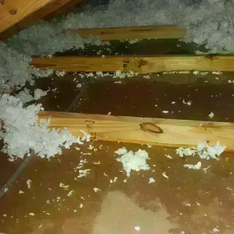 Attic Water Damage in Gloucester City, NJ