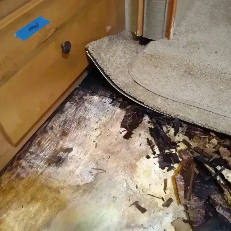 Wood Floor Water Damage in Gloucester City, NJ